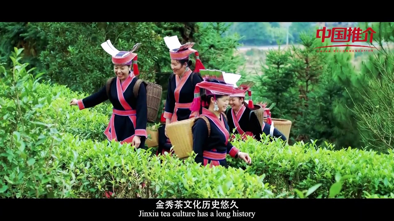 《中国一分钟》：金秀红茶