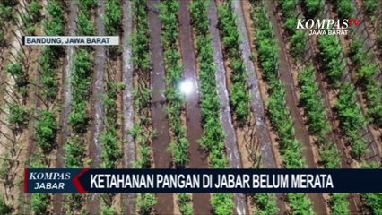 Komisi 3 DPRD Soroti Ketahanan Pangan Jabar, Ada Apa?