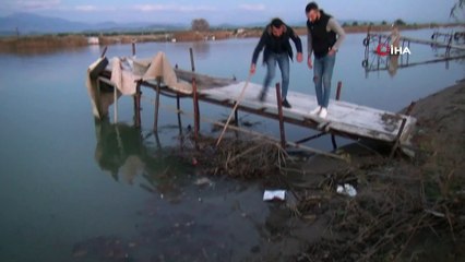 2 yavru kuzuyu ayaklarına ip bağlayıp Manavgat Irmağı'nda ölüme terk ettiler