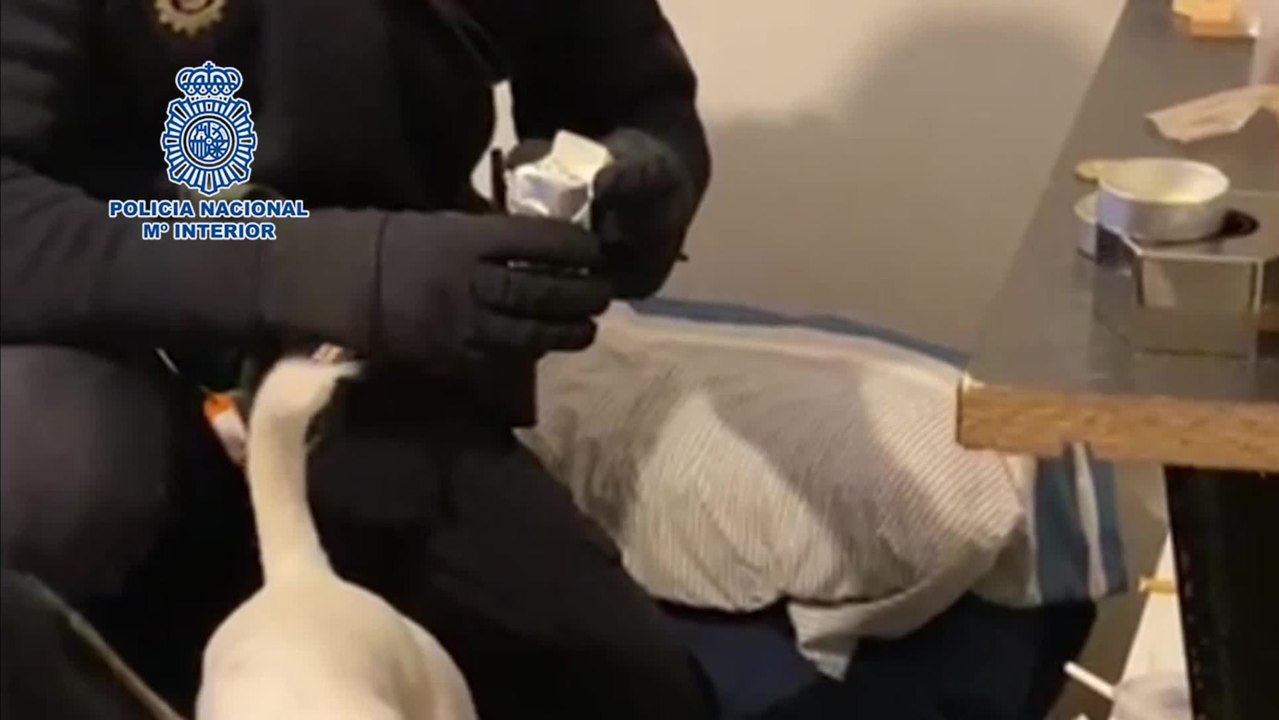 Desmantelados dos puntos de venta de drogas