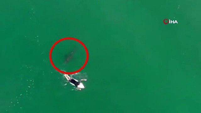 Avustralyalı sörfçü drone sayesinde köpek balığı saldırısından kurtuldu