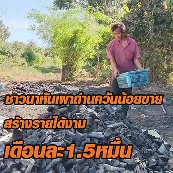 ชาวนา เผาถ่านควันน้อย ขาย สร้างรายได้งาม เดือนล...
