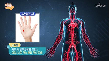 막힌 뇌혈관 뻥~ 뚫어줄 ⋄혈관 척척 운동⋄ #광고포함