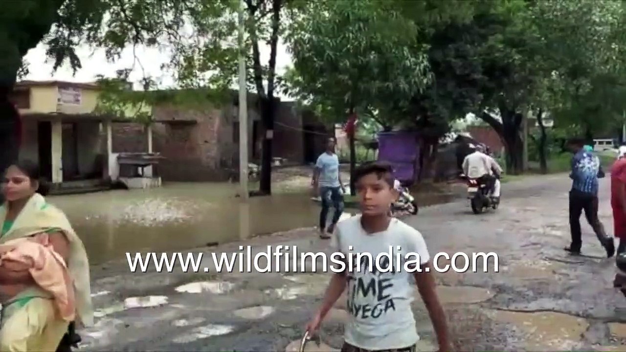 Huts, buildings submerged in water during flood in Uttar Pradesh _ Locals rally in floodwater