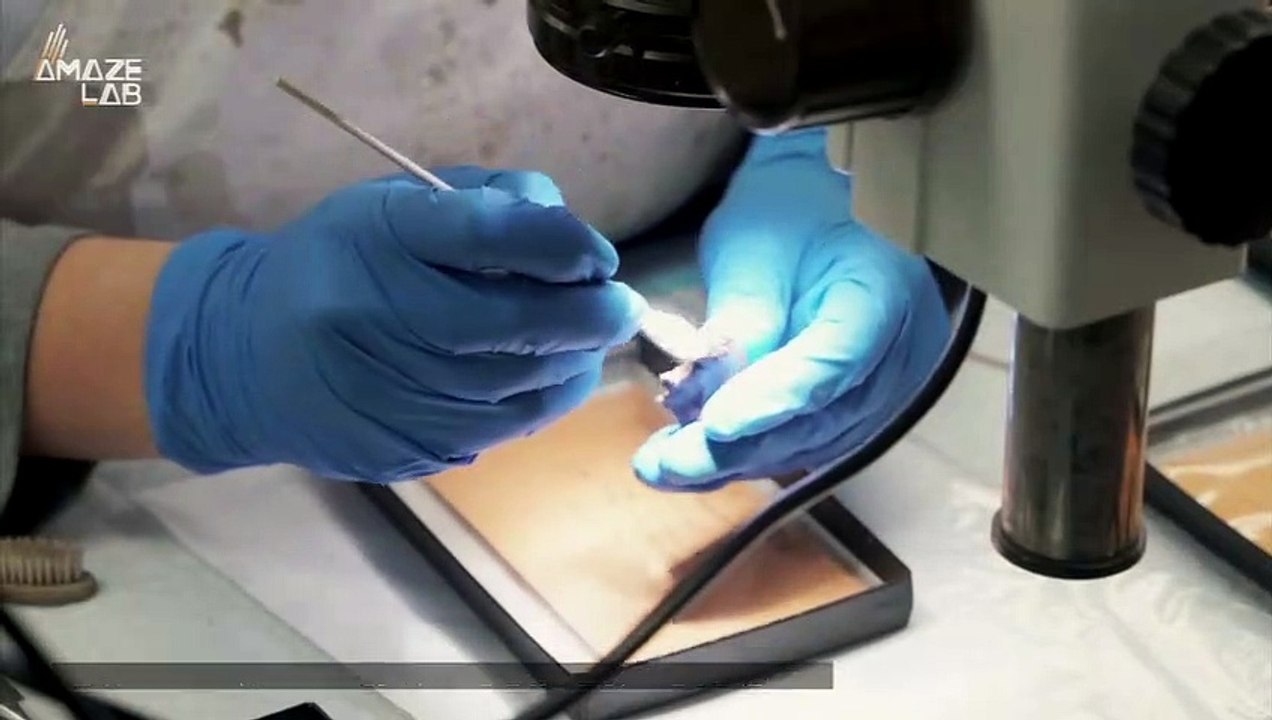 This ‘Crazy Beast’ Was a Mammal That Walked With the Dinosaurs