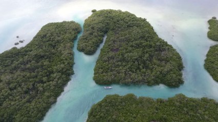 Beautiful Caribbean beaches in the world