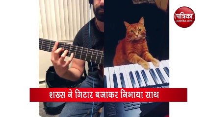 Video : शख्स ने बिल्ली के साथ की जुगलबंदी, पालतु जानवर का टैलेंट देख लोग हुए हैरान