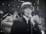 Herman's Hermits - Something is happening 1968