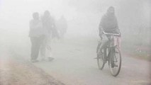 Cold wave intensifies in north India, dense fog engulfs Delhi