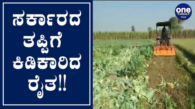 ಸರಿಯಾದ ಬೆಲೆ ಸಿಕ್ಕಿಲ್ಲವೆಂದು ಎಕರೆಗಟ್ಟಲೇ ಹೂಕೋಸ್ ಬೆಳೆ ನಾಶ ಮಾಡಿದ ರೈತ..! | Oneindia Kannada