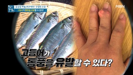 고등어가 통풍을 유발할 수 있다는 소문의 진실은?!