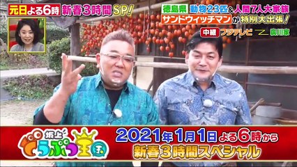 坂上どうぶつ王国  2020年12月18日 中尾明慶が沖縄離島で激レア動物遭遇▽サンド＆徳島大家族