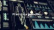 Flammes Jumelles, Jeux interdits 4D