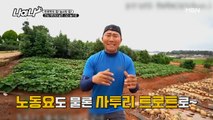 ▶전남도청에서 인증 완료?!◀ 트로트도 탑! 농사도 탑이다!