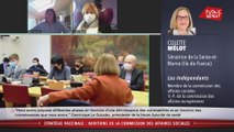 Stratégie vaccinale : auditions de la commission des affaires sociales - Les matins du Sénat (16/12/2020)