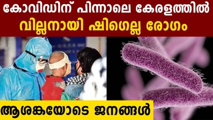 വില്ലനായി ഷിഗെല്ല രോഗം..ആശങ്കയോടെ ജനങ്ങള്‍ | Oneindia Malayalam