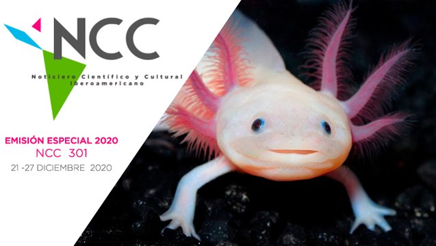 Noticiero Científico y Cultural Iberoamericano. Emisión Especial 301. 21 al 27 de Diciembre de 2020