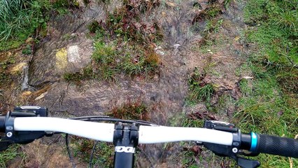 Puentes del Lérez. Camino en Andón