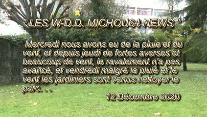 LES W-D.D. MICHOU64 NEWS - 12 DÉCEMBRE 2020 - PAU RAVALEMENT RÉSUMÉ DE LA SEMAINE N° 50 DU 7 AU 11 DÉCEMBRE  VENDREDI NETTOYAGE DU PARC