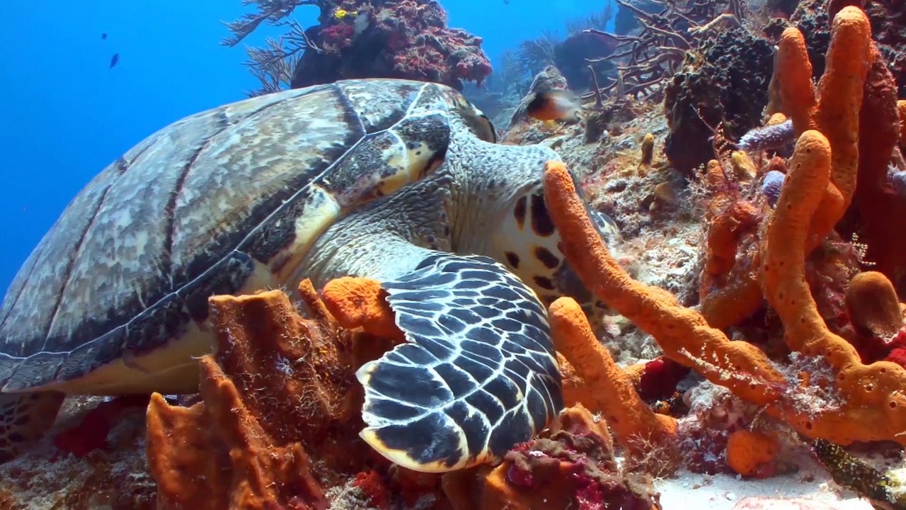 Top Ten Scientific Breakthroughs Made Within the Last Five Years