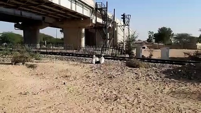 रेलवे ट्रेक पर संदिग्ध बैग, मचा हड़कंप, पुलिस पहुंची