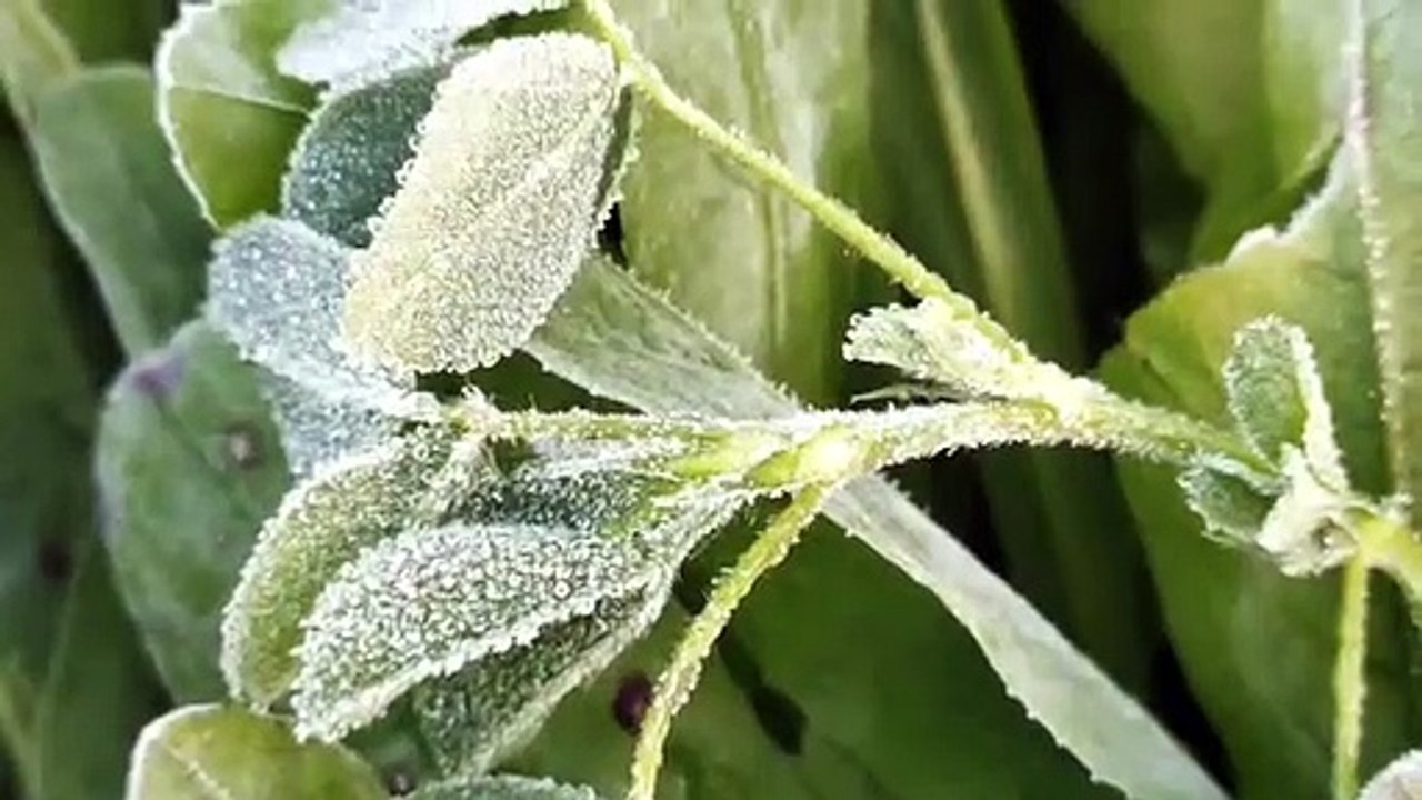 Weather : माउंट आबू, जोबनेर और चूरू में पारा मा...