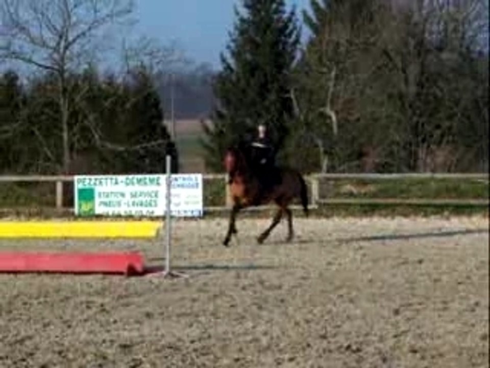 Alexa et Flèche parcours final chez Tony