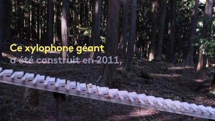 Japon : un xylophone géant passionne les internautes