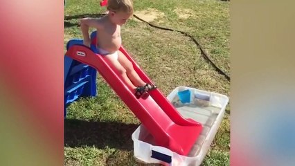 Fun and Fails ! Funniest Babies Trouble Maker #11_ Funny Babies and Pets