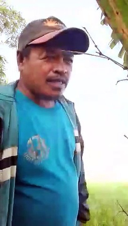 Gratitude Video 3