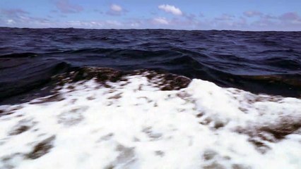 Mon beau village à l’Île de Robinson