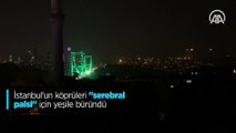 İstanbul'un köprüleri 