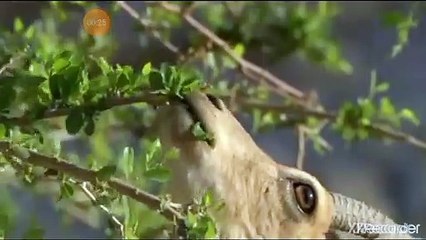 شعر اسلامي البداية والنهاية