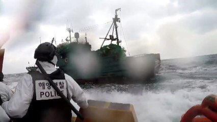 홍도 해상서 불법조업하던 중국어선 2척 나포 / YTN