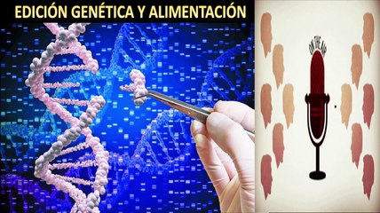 Edición Genética y Alimentación