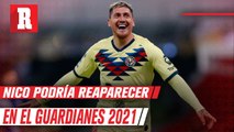 Miguel Herrera pensaría registrar a Nico Castillo para la próxima temporada