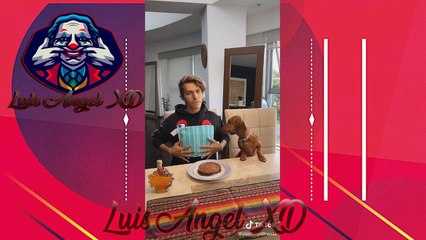 LOS MEJORES TIK TOK DE LOS POLINESIOS COMPILACION PARTE 1