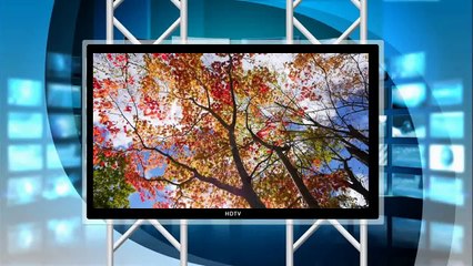 （たおやかインターネット放送)たおやか瓦版持続可能を目指してEM愛知中編Aiming for sustainability EM Aichi Part 2