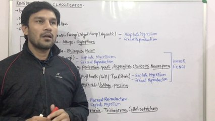 Kingdom Fungi(Part:4)-Classification(Phycomycetes,Basidiomycetes,Ascomycetes & Deuteromycetes)