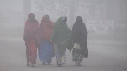 Delhi shivers below 3 deg Celsius, icy winds continue