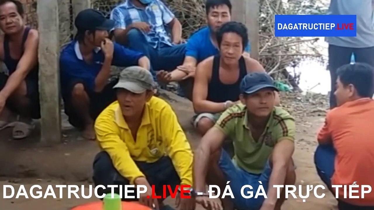 Bắt 17 Người Tham Gia Đá Gà Ăn Tiền Tại Hồng Ngự. DAGATRUCTIEP.LIVE