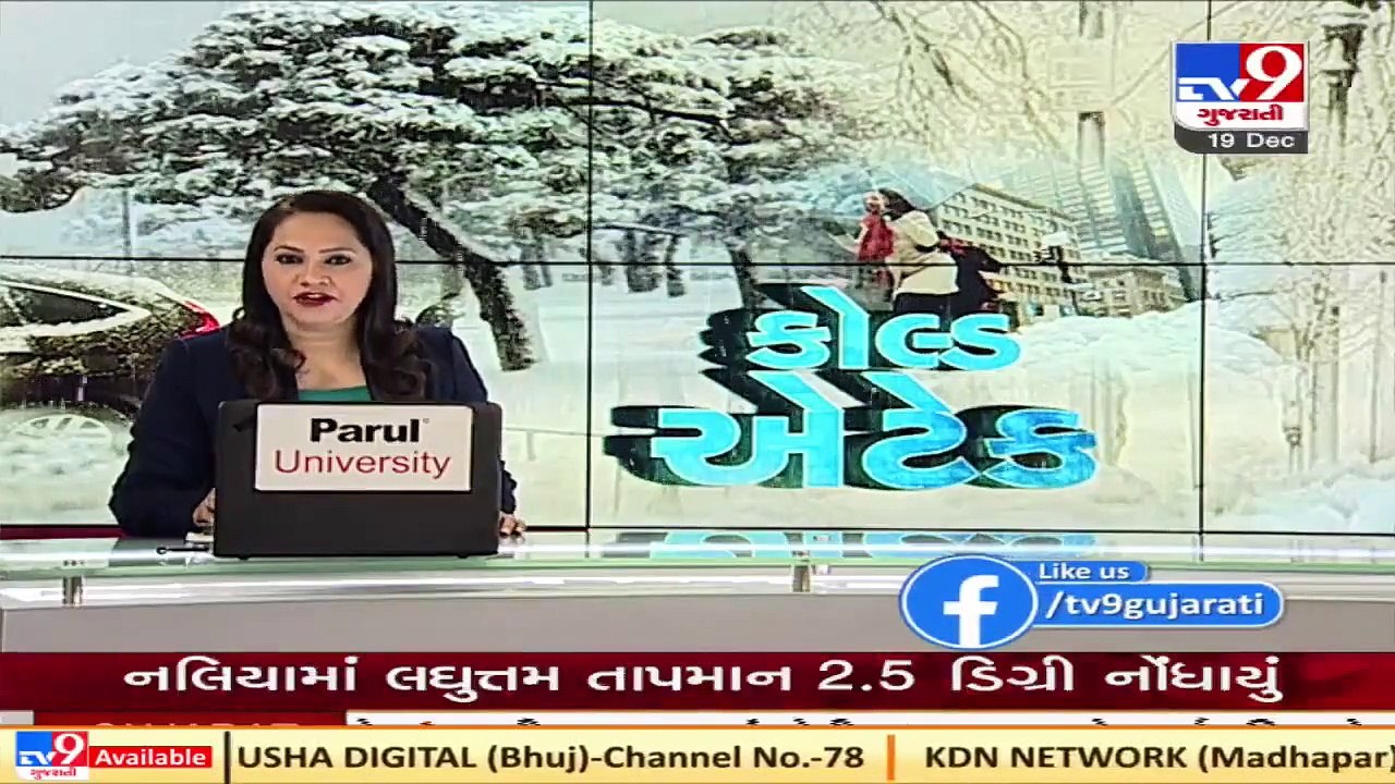 Dahod, Devgadh Bariya wake up to fog in the sky, low visibility affected vechicular movement_ TV9