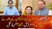 Maryam Nawaz should answer who had been sent to Israel by her father: Shahbaz Gill