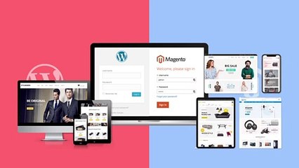 Magento vs WooCommerce - A Quick Guide | Pincreate - The Webshop Specialist