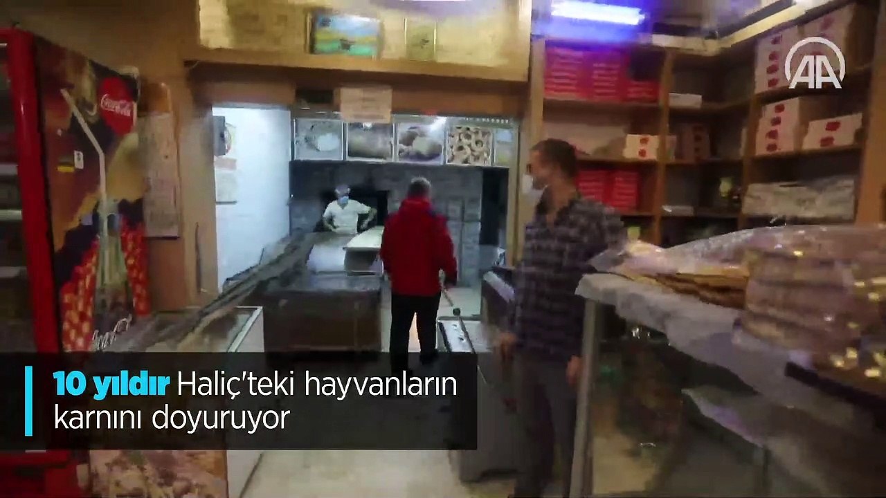 10 yıldır Haliç'teki hayvanların karnını doyuruyor