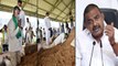 Andhra Pradesh : స్టేలు తెచ్చుకోకు.. ఏం పీకుతామో చూపిస్తాం - Chandrababu Naidu కి Perni Nani సవాల్
