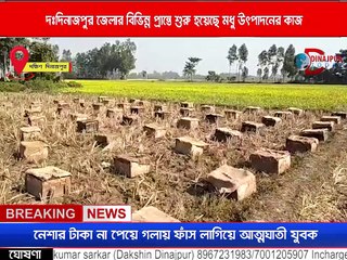 দক্ষিণ দিনাজপুর জেলার বিভিন্ন প্রান্তে শুরু হয়েছে মধু উৎপাদনের কাজ