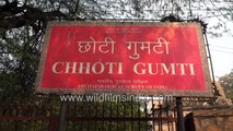 Chhoti Gumti monument at Green Park in New Delhi, after Coronavirus Lockdown