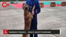 Çin'de arama köpeği, itfaiyeden emekli olan eğitimcisinin aracının peşini bırakmadı