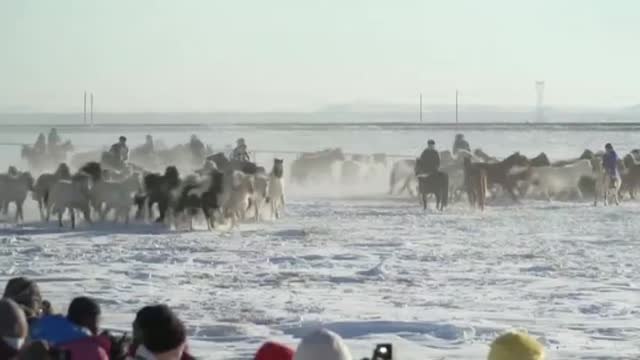China celebra una increíble carrera de caballos sobre la nieve a 30 grados bajo cero